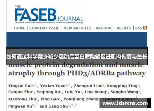 如何通过科学健身减少运动后蛋白质降解促进肌肉恢复与生长