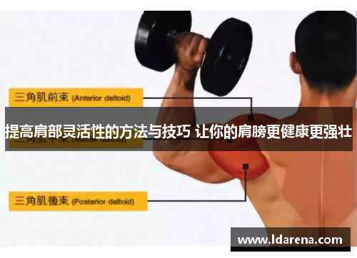 提高肩部灵活性的方法与技巧 让你的肩膀更健康更强壮